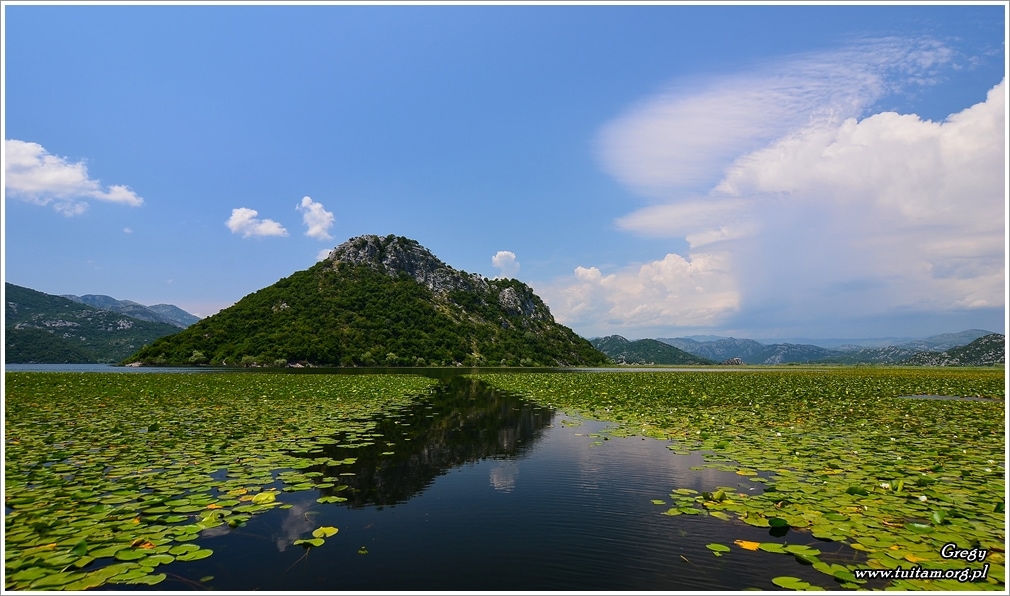 Czarnogóra - Jezioro Szkoderskie
