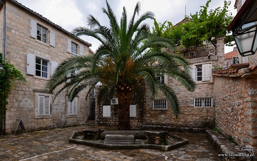 Czarnogóra Starówki Budva