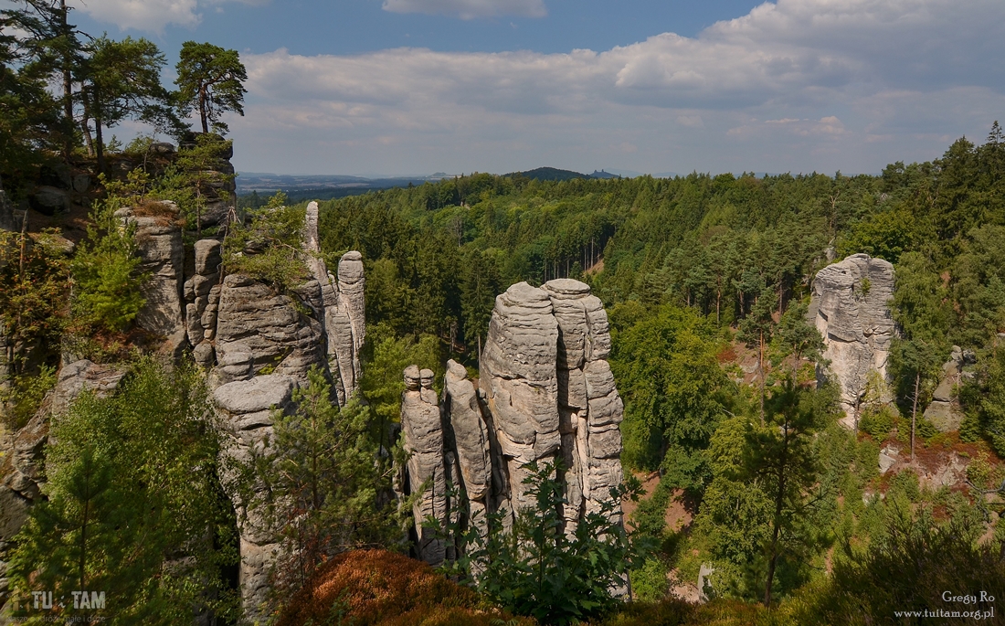 Prachowskie skały - szlaki, praktyczne wskazówki