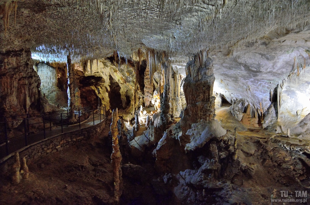 Jaskinie w Słowenii - Postojna
