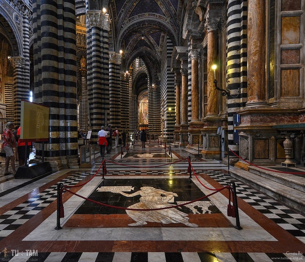 Siena katedra