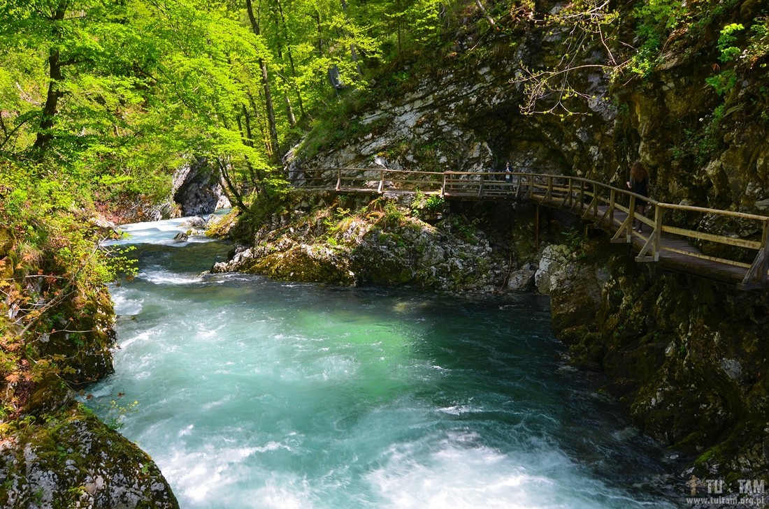 Vintgar, skalny wąwóz w Słowenii