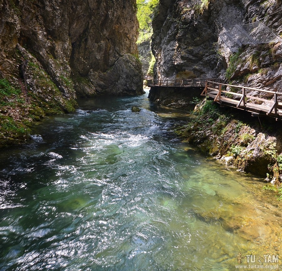 Vintgar, skalny wąwóz w Słowenii