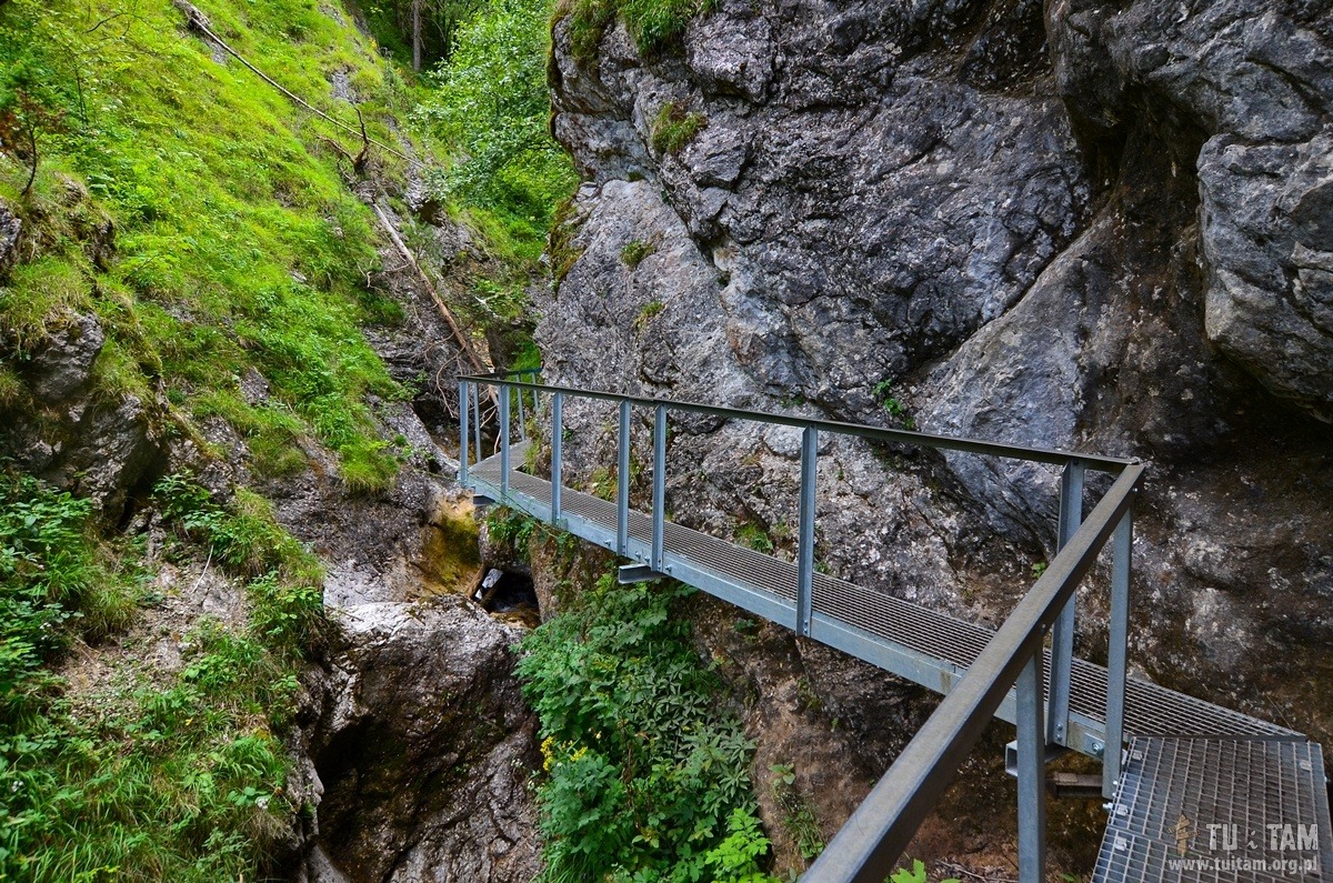 Janosikowe Diery