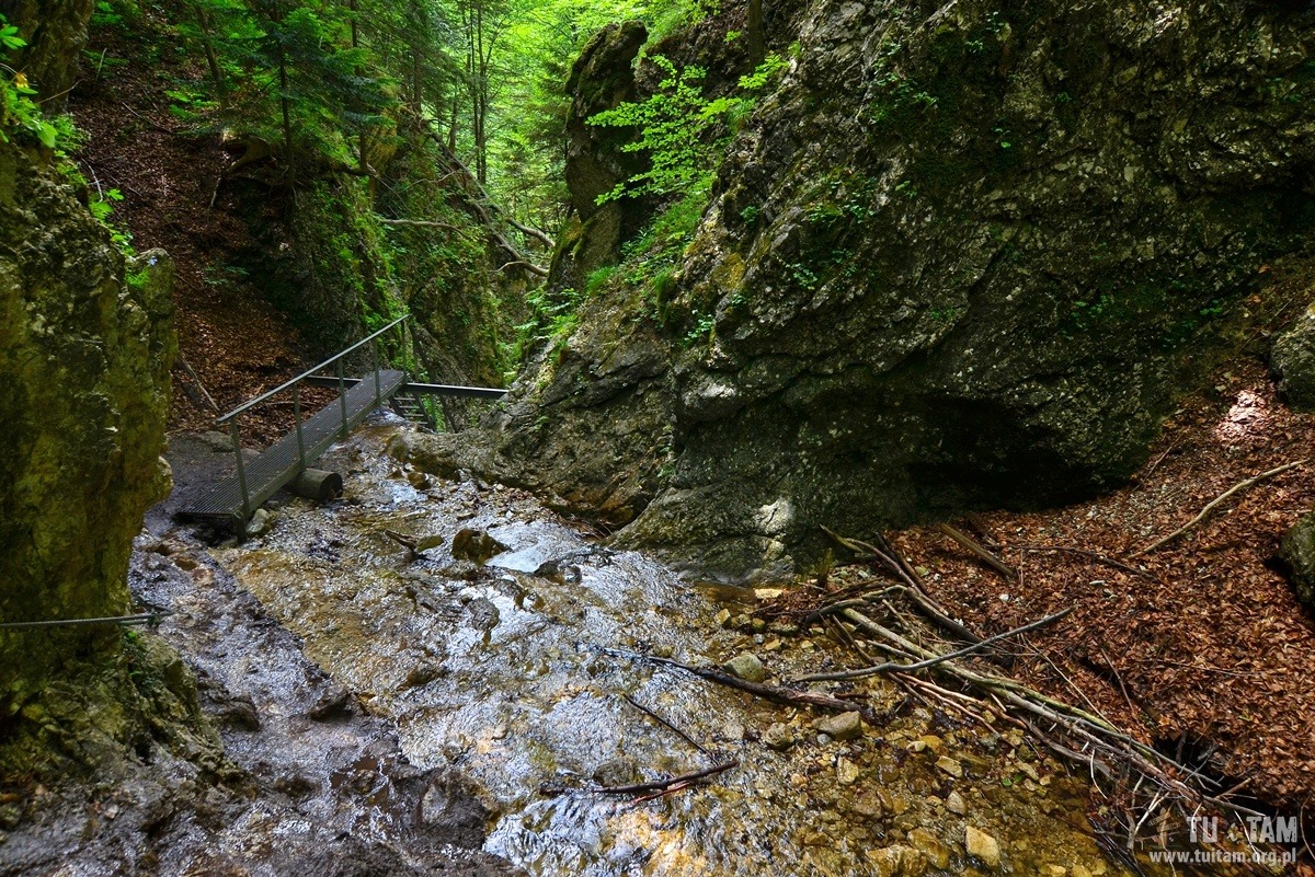 Janosikowe Diery