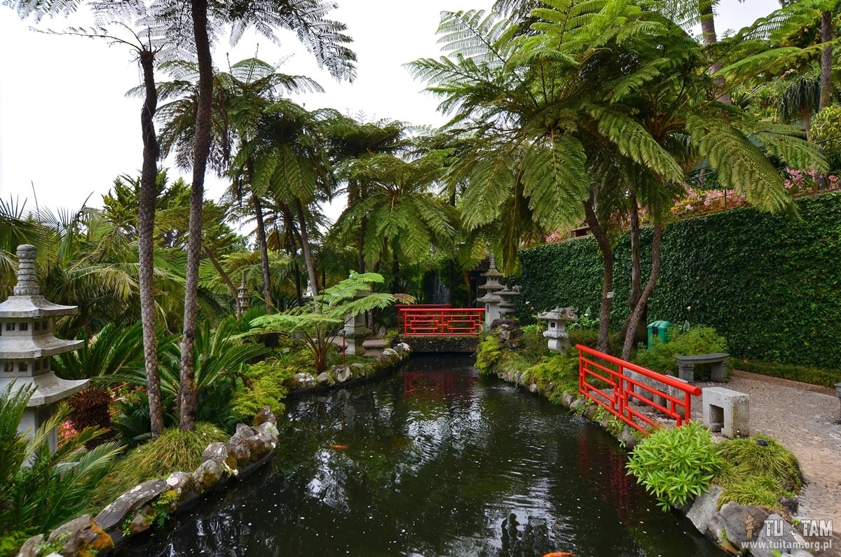 Funchal, Monte Palace Garden