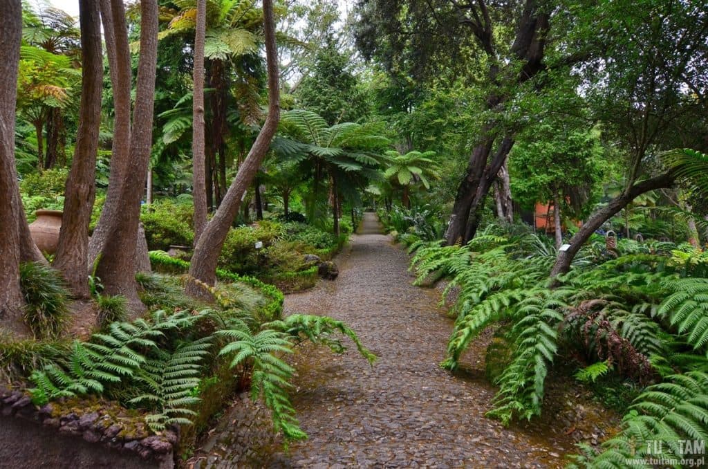 Funchal, Monte Palace Garden