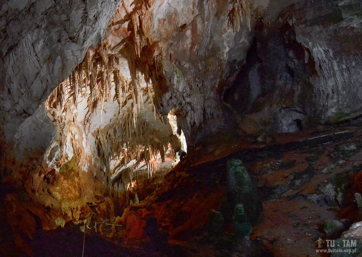 Jaskinia Fico, Fico Cave