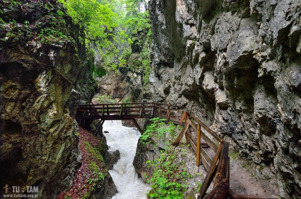 TYROL skalne wąwozy – WOLFSKLAMM
