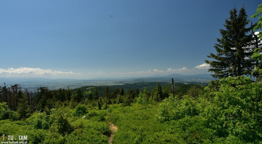 TURBACZ - szlaki, opis trasy, mapa