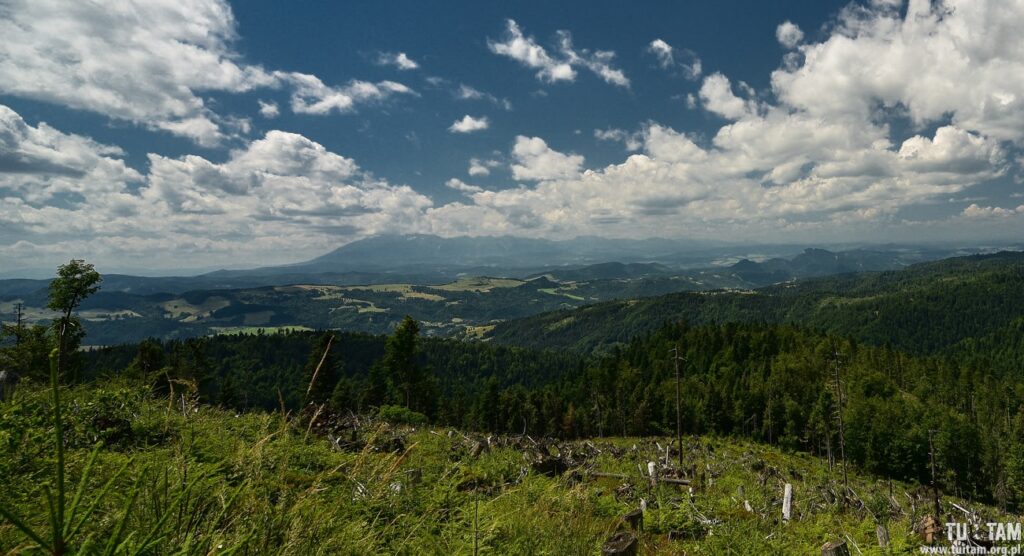 Radziejowa najładniejszy szlak