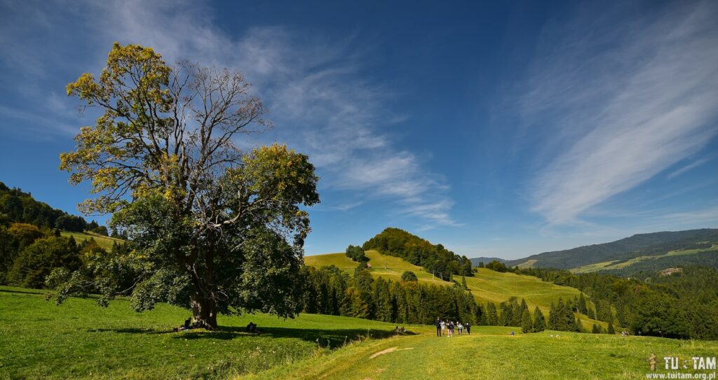 Wysoka Pieniny najładniejszy szlak