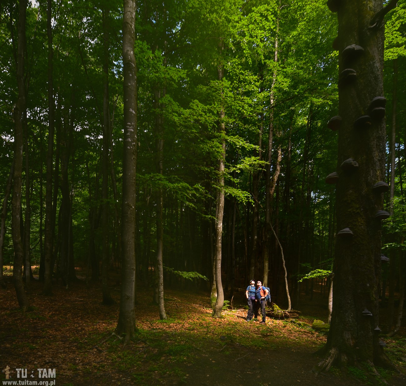RUDAWIEC – najwyższy szczyt Gór Bialskich