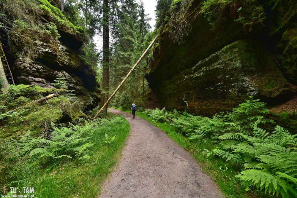 CZESKA SZWAJCARIA - szlaki