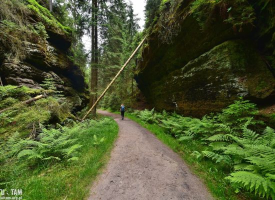 CZESKA SZWAJCARIA - szlaki