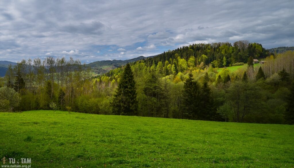 SZCZAWNICA - najpiękniejszy szlak w Pieninach