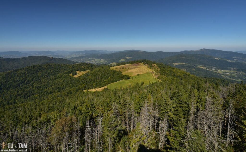 GORC – wieża widokowa
