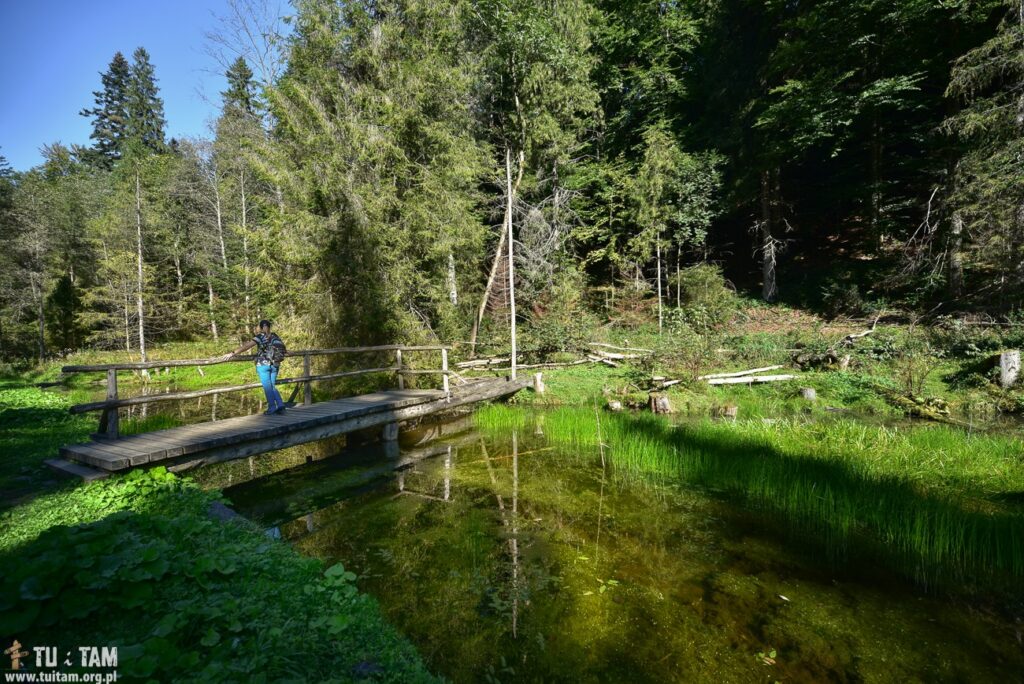 GORC – opis szlaku