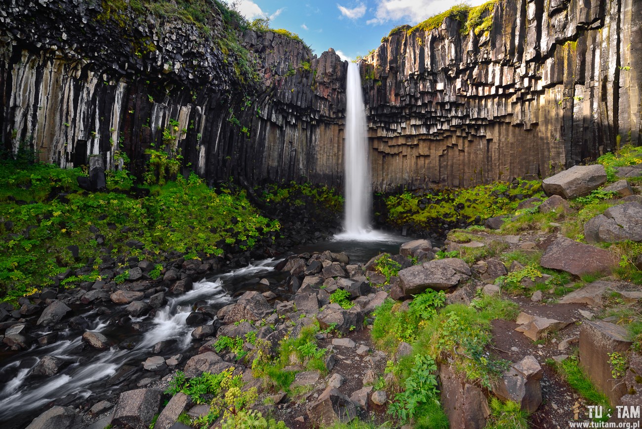 Svartifoss