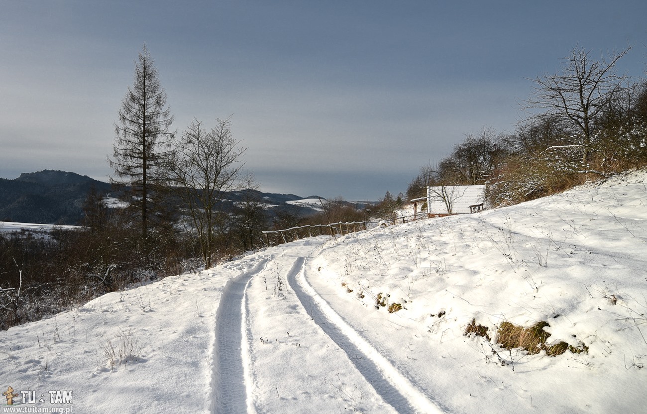 SZCZAWNICA szlaki górskie - Dzwonkówka