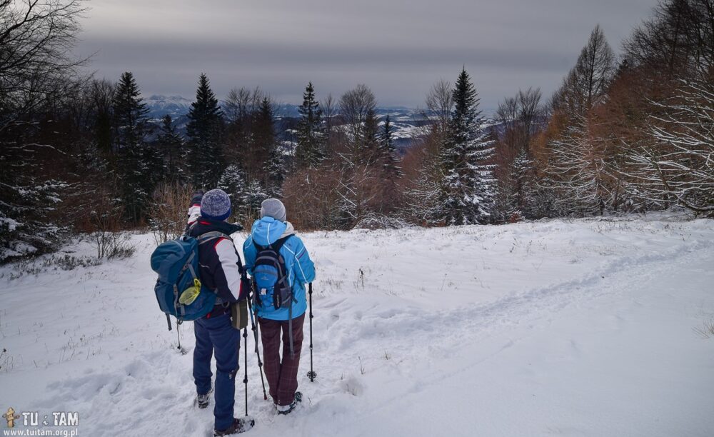 SZCZAWNICA szlaki górskie - Dzwonkówka