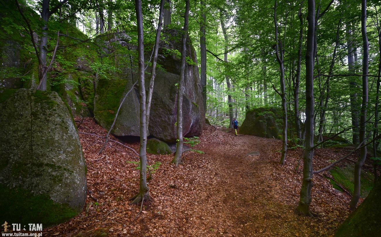 Oresnik - Góry Izerskie