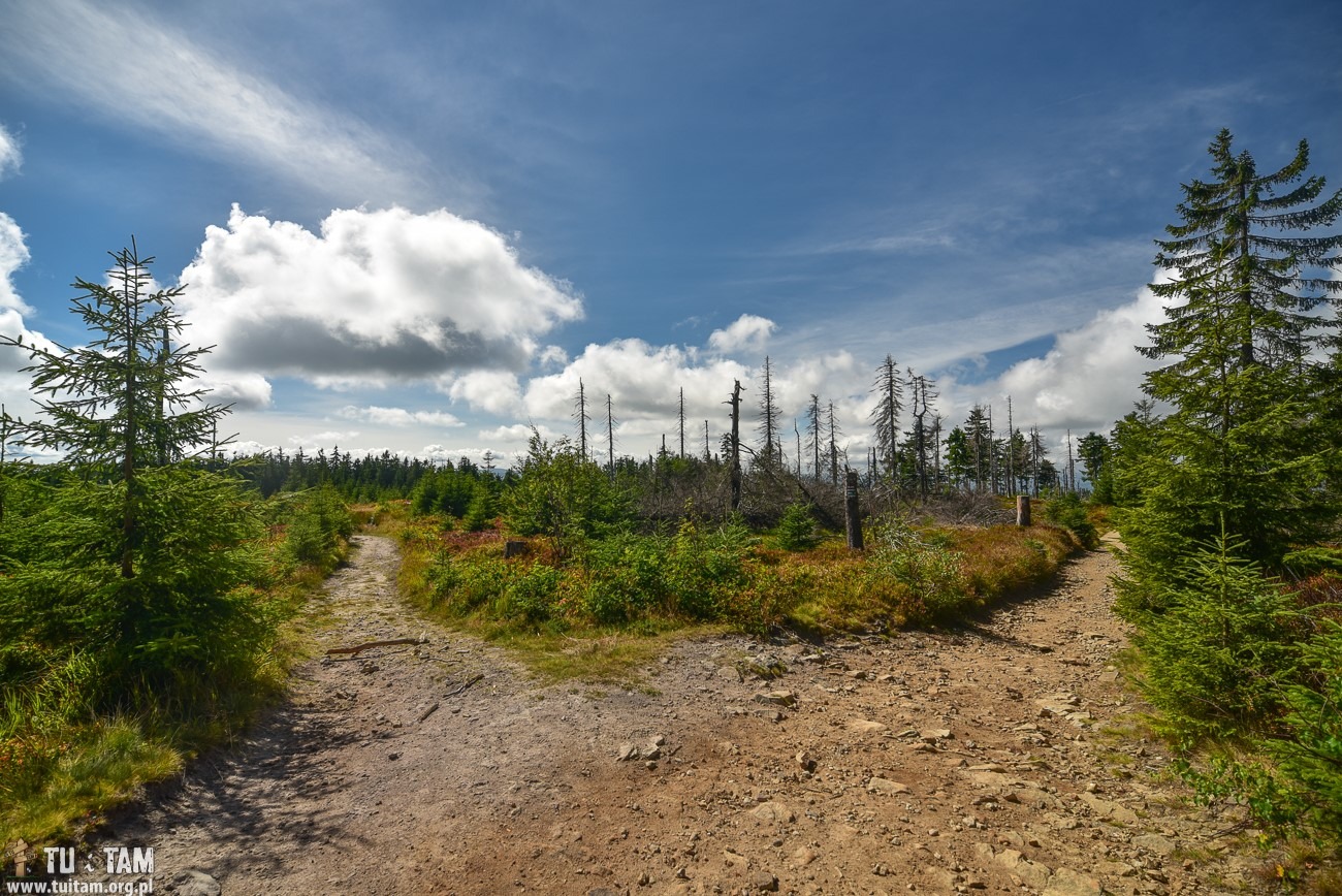 Wierch Wisełka