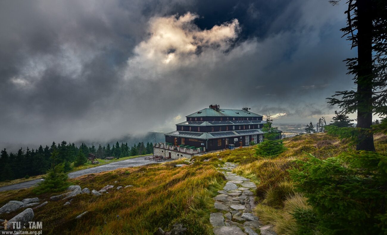 Schronisko ODRODZENIE