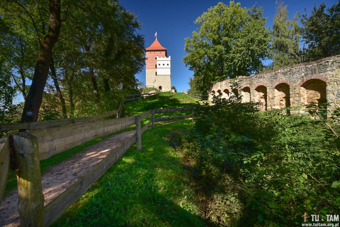 Zamek w Melsztynie