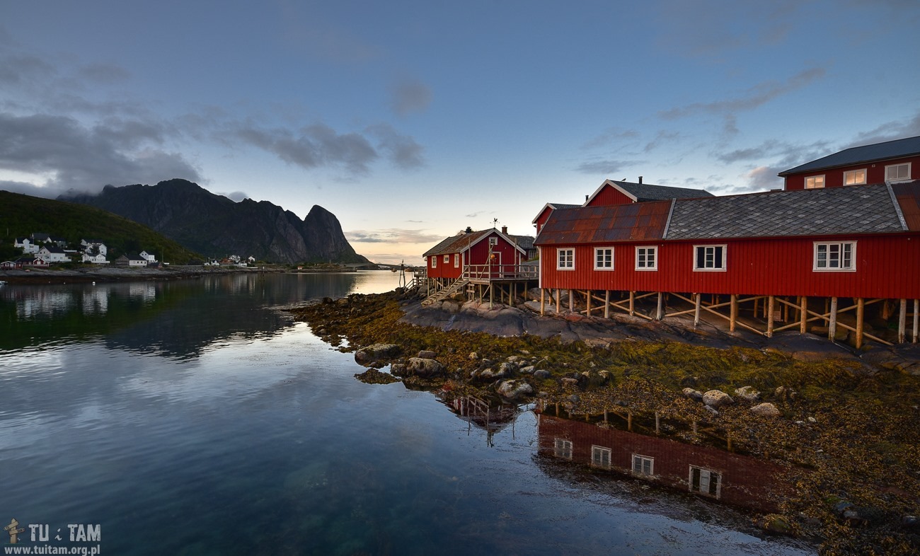 Reine