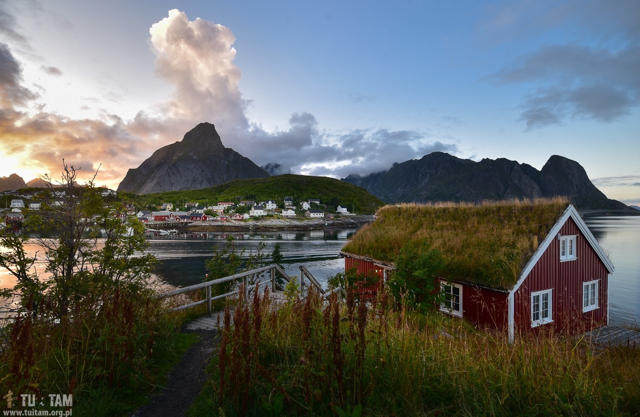 Reine