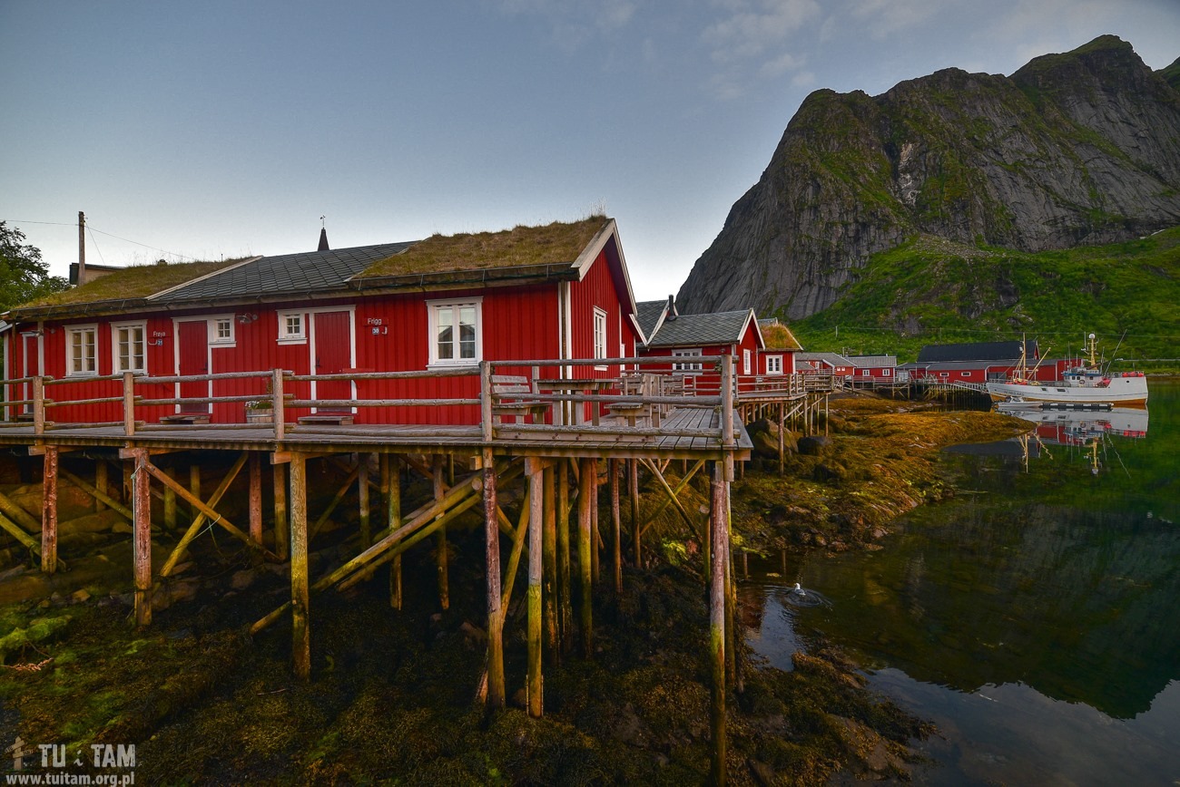 Reine