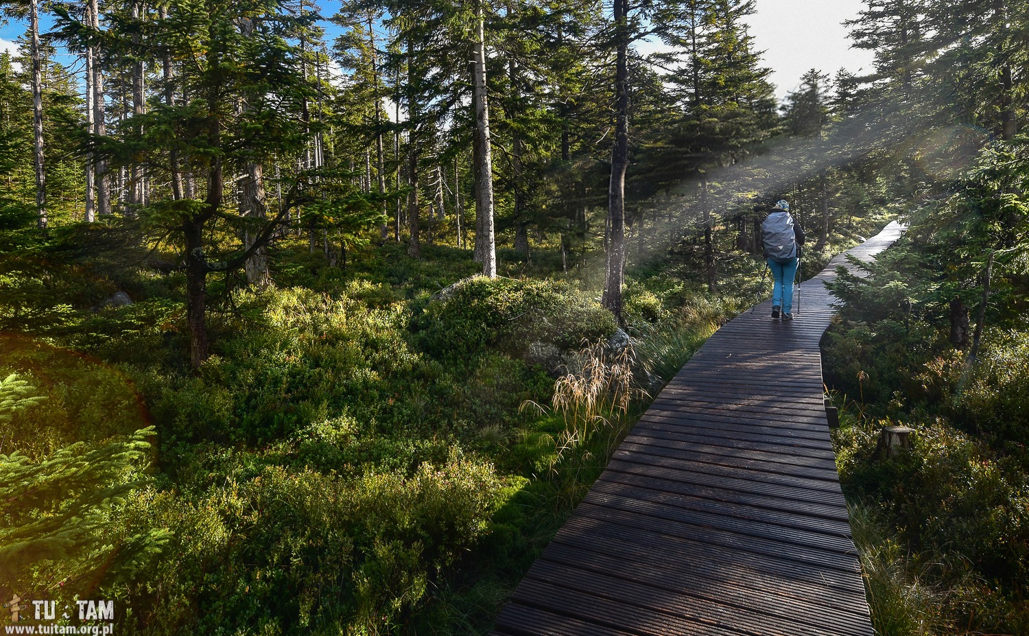 Karkonosze najpiękniejsze szlaki