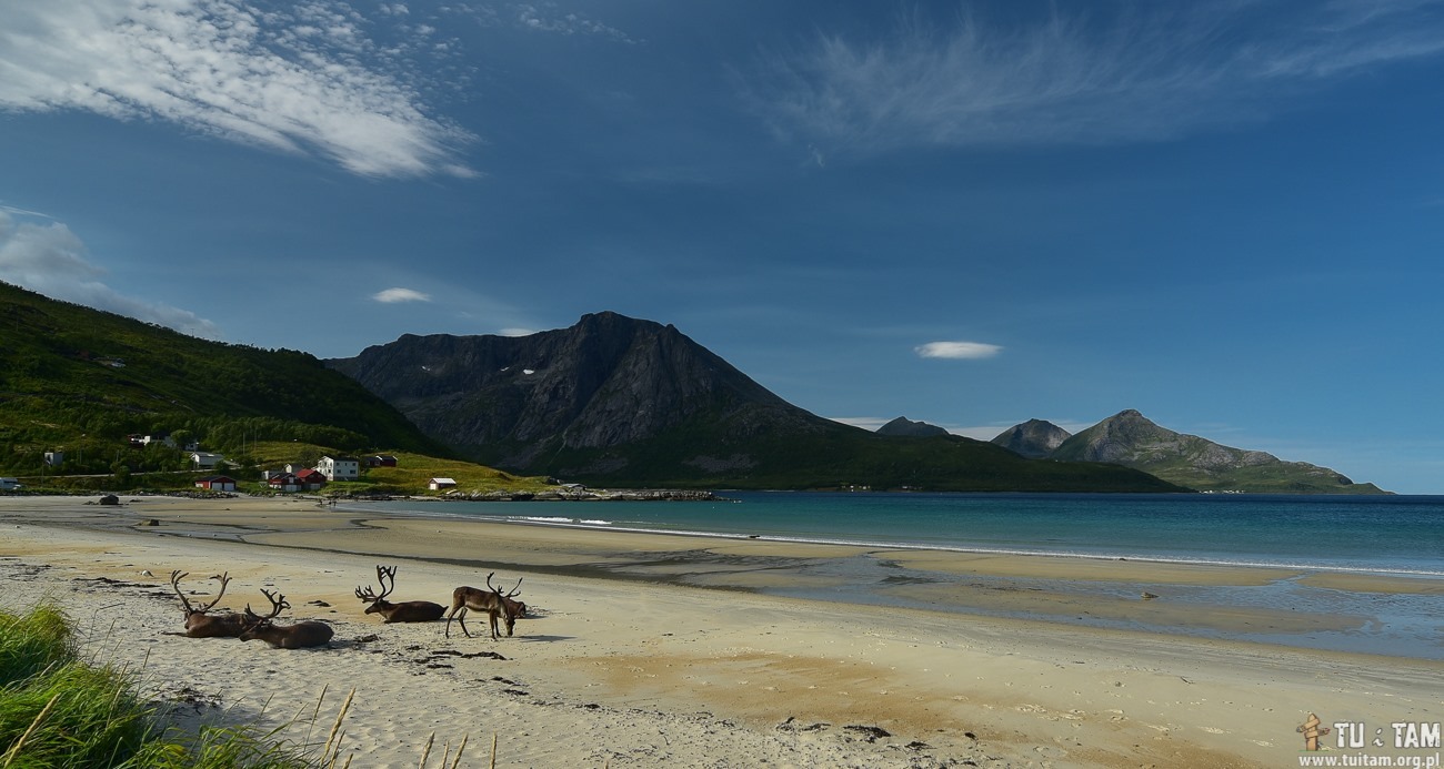 Grøtfjord beach