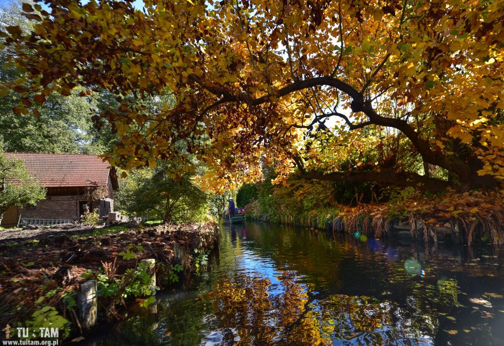 Spreewald