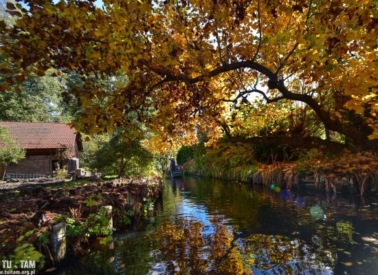 Spreewald